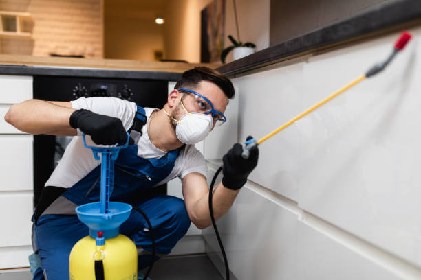 Best Affordable Pest Control Services  in Troy, NY